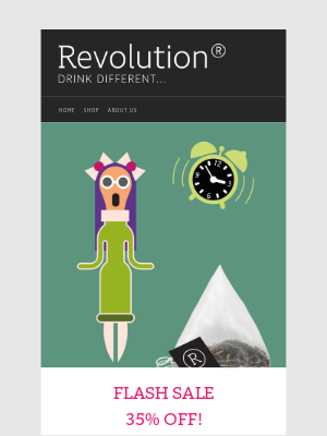 Revolution Tea - FLASH SALE 35% off all 50-pack Art Edition teas
