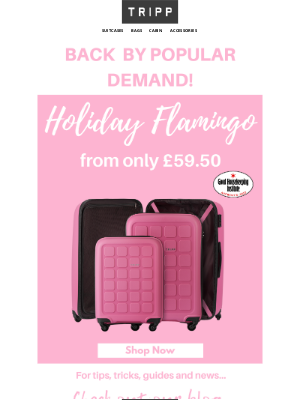 Tripp (UK) - Back By Popular Demand: Holiday Flamingo! From Only £59.50!