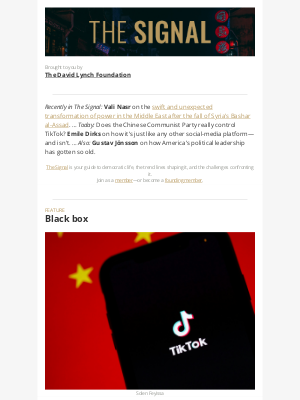 Upworthy - Does China Really Control TikTok?