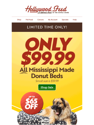 Hollywood Feed - Hey pearl! You have an exclusive deal for a limited time only! ⌛