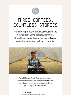 Sightglass Coffee - Introducing Three New Coffees from Honduras & Ethiopia
