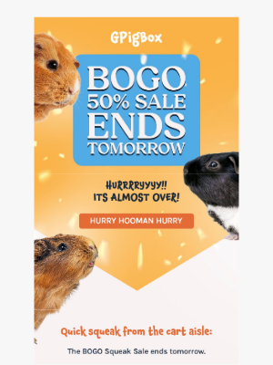 Fetch Pet Products - Knock Knock… It’s Your BOGO Reminder