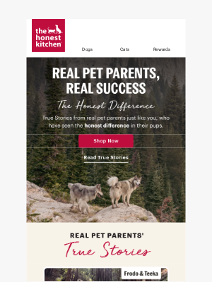 The Honest Kitchen - Happier and Healthier Pets 🐾