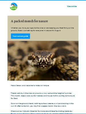 RSPB - Swift or hobby, slow worm or snake? Your August guide