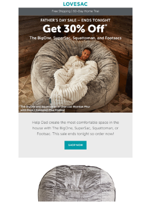 Lovesac - Shop the Father's Day Sale Before It's Gone.