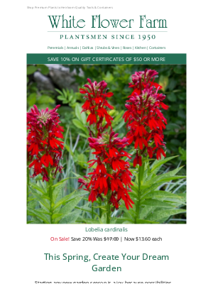 White Flower Farm - Create Your Best Garden Ever
