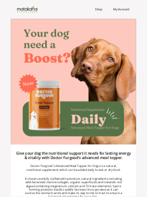 Matakana Superfoods (New Zealand) - From Two Legs to Four: Superfoods for Dogs Have Arrived 🐶