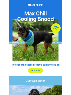 Canada Pooch - Easy cooling accessory for hot days 🌞
