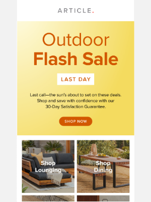 Article - Last chance to save