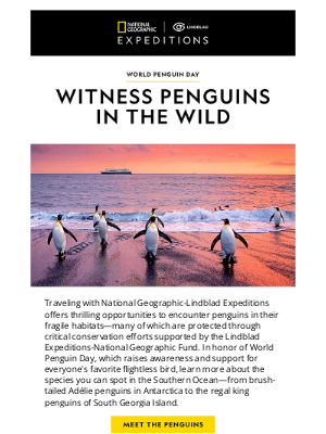 Lindblad Expeditions - 🐧 Meet the 8 Penguins of the Southern Ocean