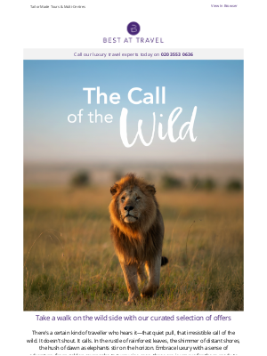 Best At Travel (United Kingdom) - Ready to embark on your dream wildlife encounter? 🐾