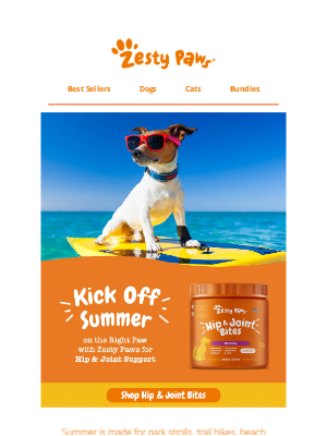 Zesty Paws - ☀️ Keep your pup moving all summer long! 🐾