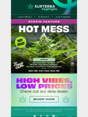 Surterra Wellness - All aboard the Hot Mess Express!