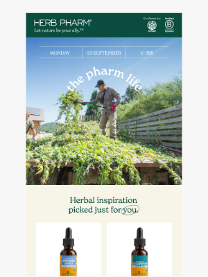 Herb Pharm - 🌾 The Pharm Life Newsletter: September