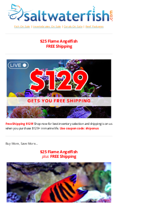 Saltwaterfish - 🐠$25 Flame Angelfish. Free Shipping. NEW Specials.