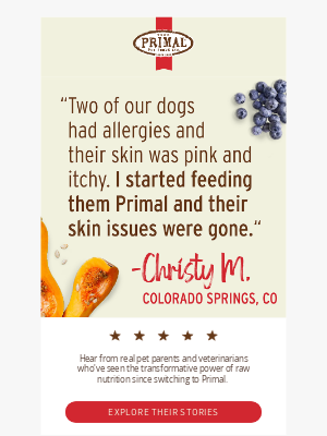 Primal Pet Foods - Raw Nutrition Helped Relieve This Dog's Itchy Skin