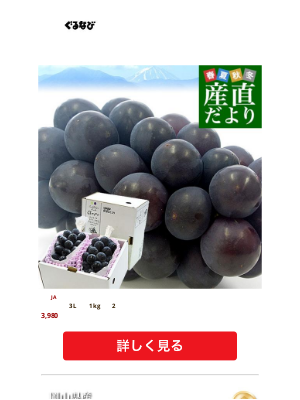 Gurunavi Inc. (Japan) - ぶどう特集！JAフルーツ山梨「種なし巨峰」（2房入り）3,980円送料無料 / タイムセール★岡山県産マスカット・オブ・アレキサンドリア1房約600gが5,670円送料無料！