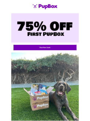 PupBox - 🎉 Fetch 75% Off Your First PupBox, Paw-lease Don’t Miss This! 🐾