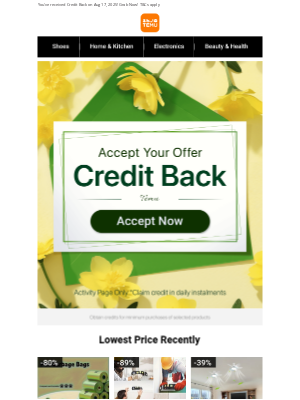 Temu - Your Purchases Have Returned As Credits