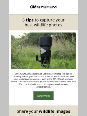 Olympus - 5 Tips to Capture Your Best Wildlife Photos