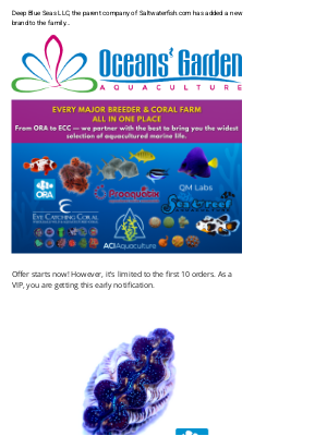 Saltwaterfish - 🐠🏆 VIP's $29 First Grade Crocea Clam @ Oceansgarden.com