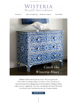 Wisteria - Fall in Love with Wisteria Blue