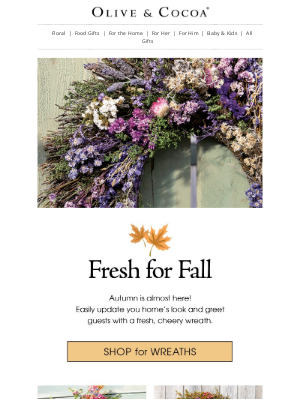 Olive & Cocoa - 🌻 Greet Guests (and Autumn) in Style