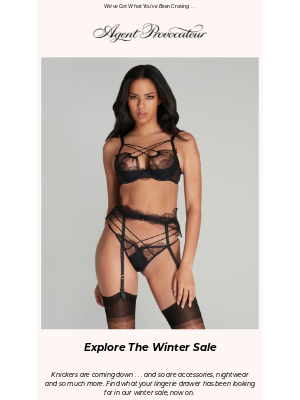 Agent Provocateur - The Winter Sale | Surprise, Spoil, Seduce