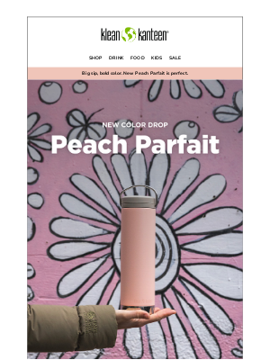 Klean Kanteen - New Color! Peach Parfait.