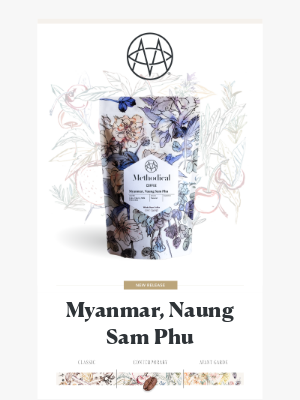 Methodical Coffee - ☕️ New Release: Myanmar, Naung Sam Phu 🇲🇲