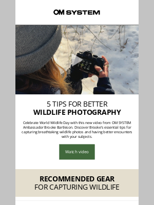 Olympus - (VIDEO) 5 Tips for Better Wildlife Photography