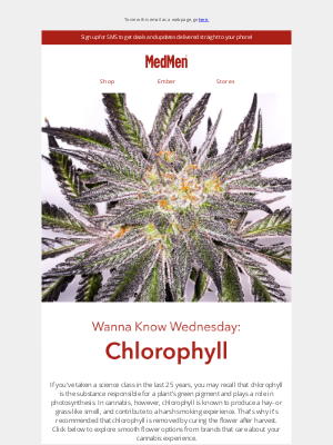 MedMen - Wanna Know Wednesday: Chlorophyll