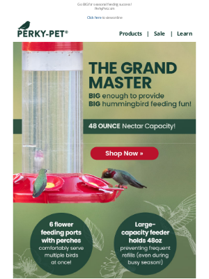 Perky Pet Feeders - Master Hummingbird Season ➜