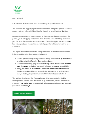 The Wilderness Society - You pay again for $15 million logging loss