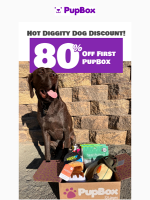 PupBox - 🐶 New Month, New Box, 80% Off — Let’s Go!