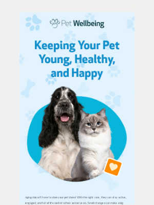 Related Email 1