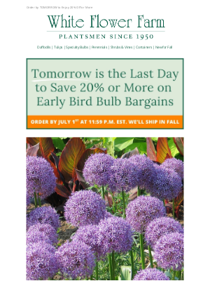 White Flower Farm - Last Chance for Early Bird Bulb Bargains!