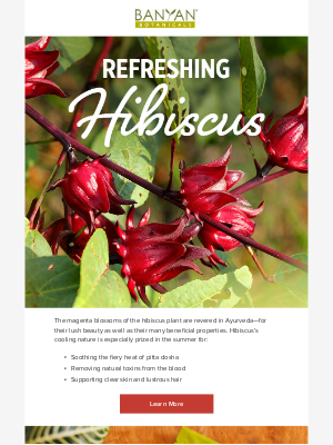 Banyan Botanicals - The benefits of hibiscus 🌺