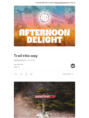 Whalebone - Trail this way ☀️