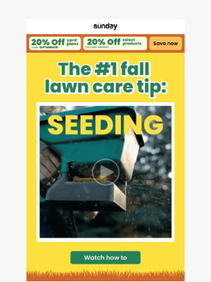 Sunday - 🤔 Fall Seeding In WA?