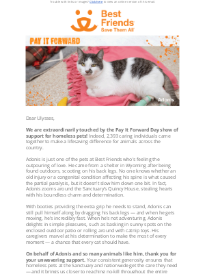 Best Friends Animal Society - So many paid it forward and we are so grateful