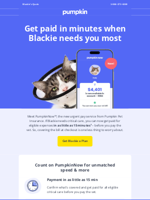 Pumpkin Petcare - New! Get paid in minutes for critical care ⚡