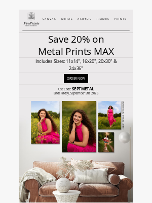 Don't Miss 20% Off Metal Prints – Shop Now!