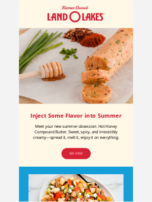 landolakes.com - Summer is Heating Up
