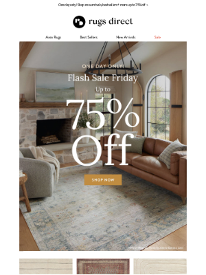 Rugs Direct - FLASH. SALE. FRIDAY.
