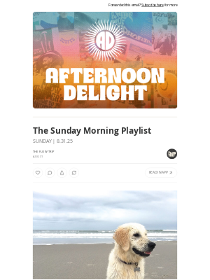 Whalebone - The Sunday Morning Playlist ☀️