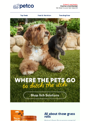 Petco - Bye-bye itch, hello comfort 🐾