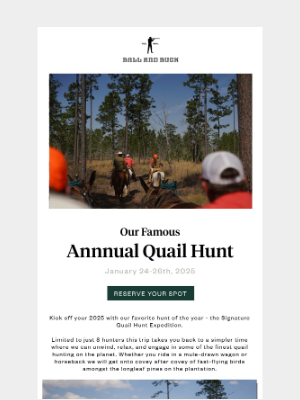 Ball and Buck - Last Chance - Georgia Quail Hunt Expedition