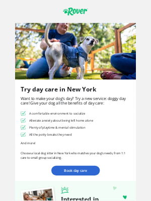 DogVacay - Discover the service that makes lonely dogs happy