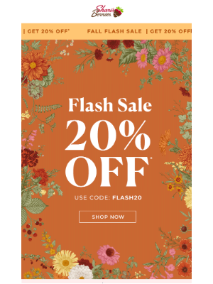 ⚡Flash Feast: 20% Off Right Now